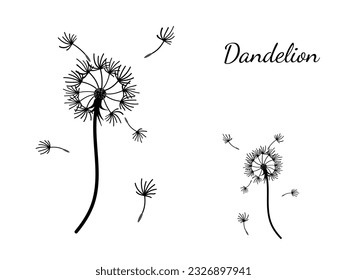 Abstract dandelion background for design. The wind blows dandelion seeds. Template for posters, wallpapers, posters. Vector illustration.