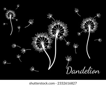 Abstract dandelion background for design. The wind blows dandelion seeds. Template for posters, wallpapers, posters. Vector illustration.