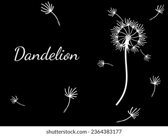 Abstract dandelion background for design. The wind blows dandelion seeds. Template for posters, wallpapers, posters. Vector illustration.