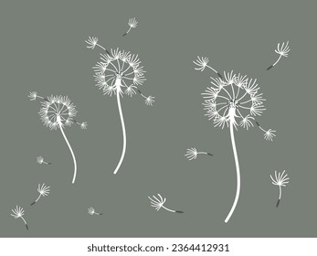 Abstract dandelion background for design. The wind blows dandelion seeds. Template for posters, wallpapers, posters. Vector illustration.