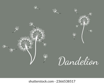 Resumen de fondo de diente de león para el diseño. El viento sopla semillas de león. Plantilla para afiches, fondos de pantalla, afiches. Ilustración vectorial.