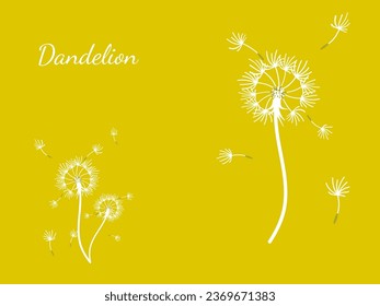 Abstract dandelion background for design. The wind blows dandelion seeds. Template for posters, wallpapers, posters. Vector illustration.