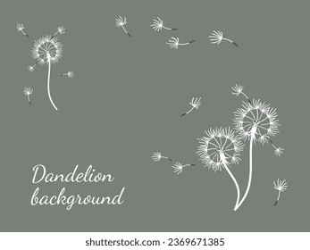 Abstract dandelion background for design. The wind blows dandelion seeds. Template for posters, wallpapers, posters. Vector illustration.