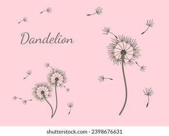 Abstract dandelion background for design. The wind blows dandelion seeds. Template for posters, wallpapers, posters. Vector illustration.