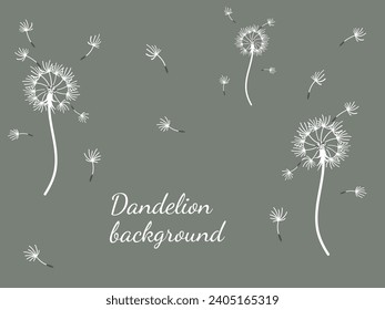 Abstract dandelion background for design. The wind blows dandelion seeds. Template for posters, wallpapers, posters. Vector illustration.