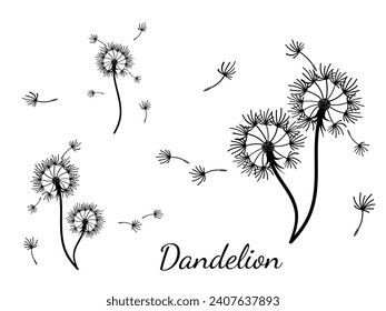 Abstract dandelion background for design. The wind blows dandelion seeds. Template for posters, wallpapers, posters. Vector illustration.