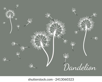 Abstract dandelion background for design. The wind blows dandelion seeds. Template for posters, wallpapers, posters. Vector illustration.