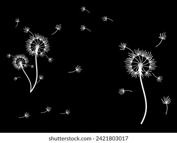 Abstract dandelion background for design. The wind blows dandelion seeds. Template for posters, wallpapers, posters. Vector illustration.