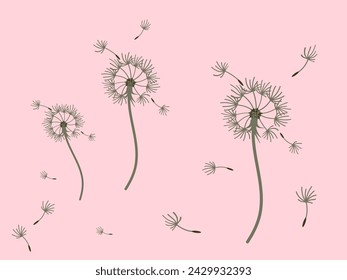 Abstract dandelion background for design. The wind blows dandelion seeds. Template for posters, wallpapers, posters. Vector illustration.