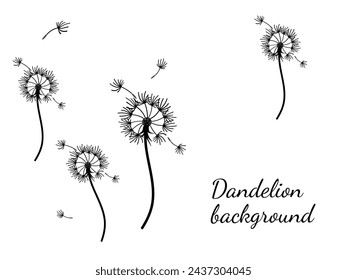 Abstract dandelion background for design. The wind blows dandelion seeds. Template for posters, wallpapers, posters. Vector illustration.