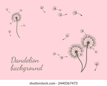 Abstract dandelion background for design. The wind blows dandelion seeds. Template for posters, wallpapers, posters. Vector illustration.