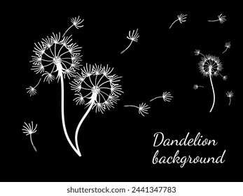 Abstract dandelion background for design. The wind blows dandelion seeds. Template for posters, wallpapers, posters. Vector illustration.