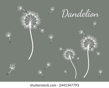 Abstract dandelion background for design. The wind blows dandelion seeds. Template for posters, wallpapers, posters. Vector illustration.