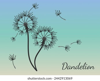 Abstract dandelion background for design. The wind blows dandelion seeds. Template for posters, wallpapers, posters. Vector illustration.