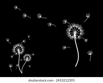 Abstract dandelion background for design. The wind blows dandelion seeds. Template for posters, wallpapers, posters. Vector illustration.