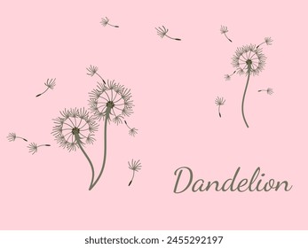 Abstract dandelion background for design. The wind blows dandelion seeds. Template for posters, wallpapers, posters. Vector illustration.