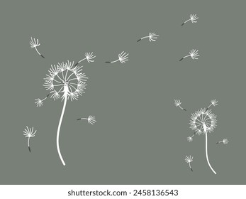 Abstract dandelion background for design. The wind blows dandelion seeds. Template for posters, wallpapers, posters. Vector illustration.