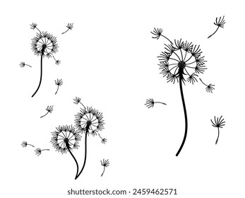 Abstract dandelion background for design. The wind blows dandelion seeds. Template for posters, wallpapers, posters. Vector illustration.