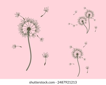 Abstract dandelion background for design. The wind blows dandelion seeds. Template for posters, wallpapers, posters. Vector illustration.