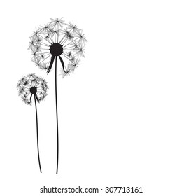 Abstract Dandelion Background Vector Illustration EPS10