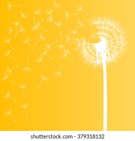 Abstract dandelion background vector illustration springtime concept