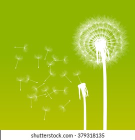 Abstract dandelion background vector illustration springtime concept