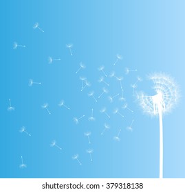 Abstract dandelion background vector illustration springtime concept