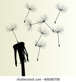Abstract dandelion background vector Illustration spring concept