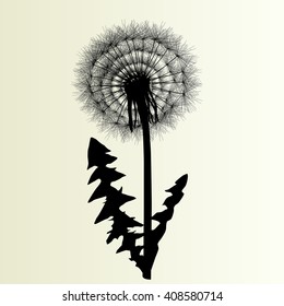 Abstract dandelion background vector Illustration spring concept