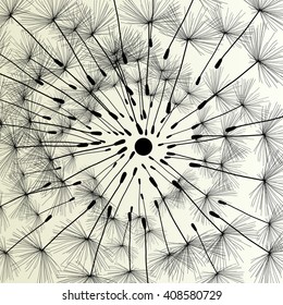Abstract dandelion background vector Illustration spring concept