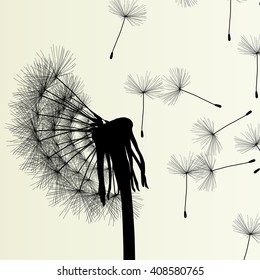 Abstract dandelion background vector Illustration spring concept