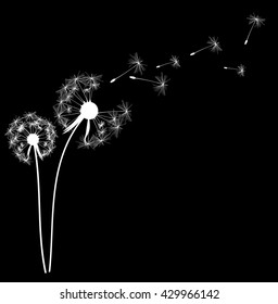Abstract Dandelion Background Vector Illustration EPS10