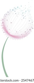 Abstract dandelion flower over white background