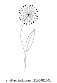 Abstract dandelion flower vector illustration isolated on white. Hand drawn floral design element for print, branding, card, poster. Line art minimal contemporary drawing.