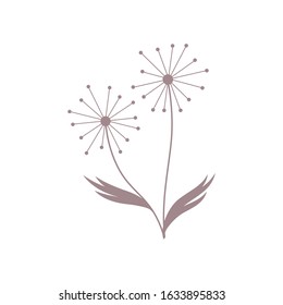 abstract dandelion flowers, vector illustration