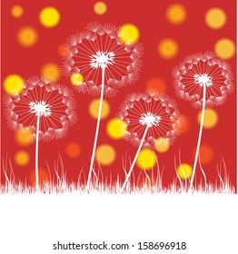 abstract dandelion silhouettes in sunset