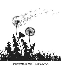 Abstract Dandelions dandelion with flying seeds – for stock vector