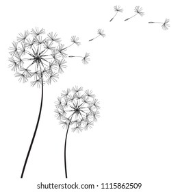 Abstract Dandelions dandelion with flying seeds – stock vector