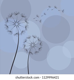 Abstract Dandelions dandelion with flying seeds – stock vector