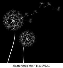 Abstract Dandelions dandelion with flying seeds – stock vector