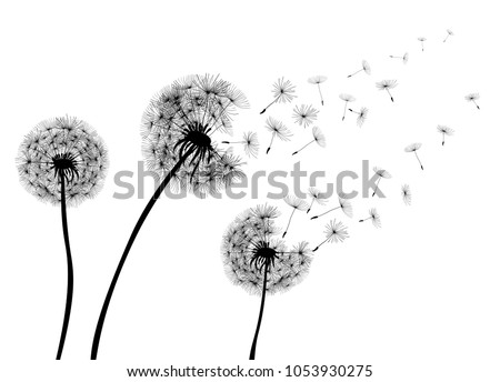 Abstract Dandelions dandelion with flying seeds – stock vector