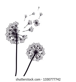 Abstract Dandelions silhouette dandelion with flying seeds