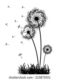 Abstract dandelions - vector silhouette illustration of flowers, can be used for interior prints, t-shirt design, card, poster, label, banner.