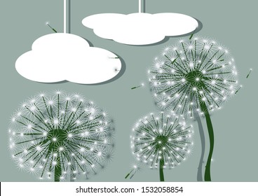 abstract dandelions and white clouds. 10 EPS