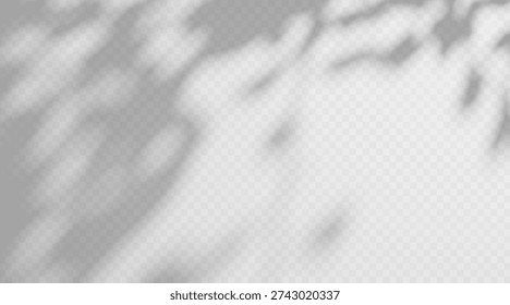 Abstract dappled light shadow overlay from tree foliage on a transparent background