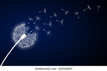 Abstract dark blue background with dandelion flower and seeds, vector illustration.