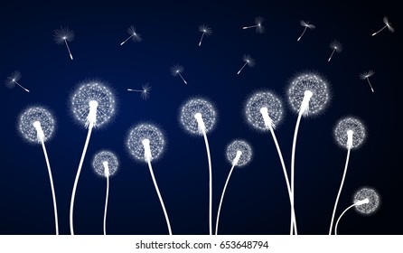 Abstract dark blue background with silhouette dandelion flowers and seeds, vector illustration.