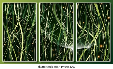 abstract dark panel of three images in white frames. overlapping smooth, green shades, stripes of different thickness and lights on a black background. vector
