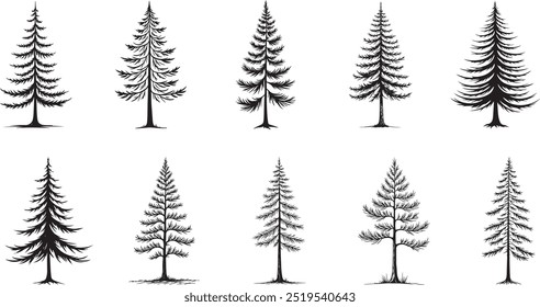 Abstract dead tree line art for modern, artistic nature designs