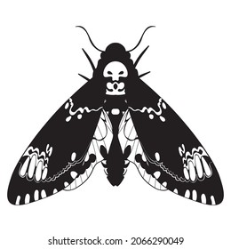Abstract the death's head hawk moth, Acherontia atropos butterfly black and white illustration.